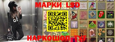 амф Дубна