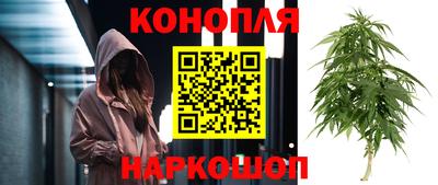 гидропоника Донецк