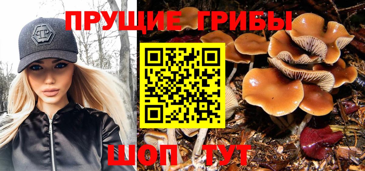 Михайловск  Галлюциногенные грибы MAGIC MUSHROOMS  Вход с VPN 